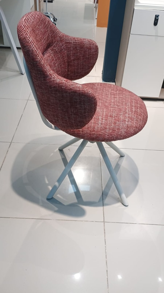 WhatsApp Image 2026-03-23 at 11.54.09 AM (2).jpeg