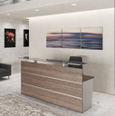 RECEPCION JAYSON ROBLE CON GRIS (240*60*100CM)