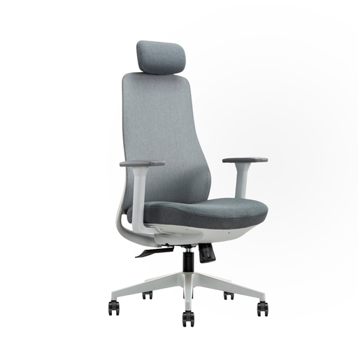 [6249A-HS] SILLA DE OFICINA EJECUTIVA CASSIAN CON CABECERA (TODA GRIS)-++