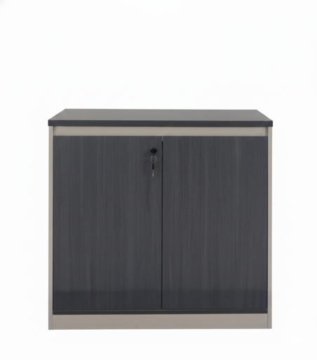 [NIS-005] CREDENZA DE 2 PUERTAS ALSEN GRIS OSCURO Y CAQUI(80*40*80CM)